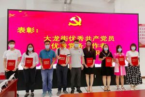 乐玩（中国）集团党支部荣获先进党组织称号、陈文舒党支部书记荣获优秀党