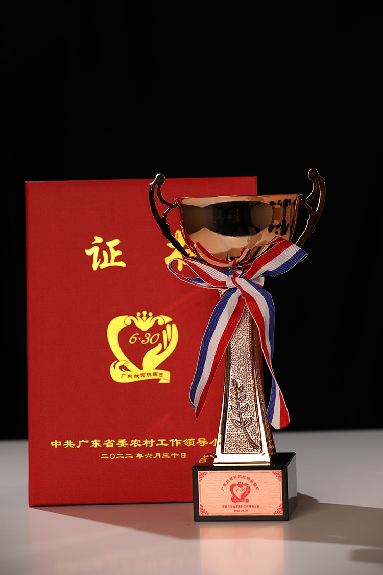 乐玩（中国）集团