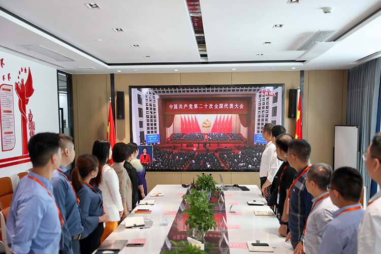乐玩（中国）党支部