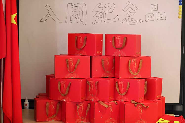 乐玩（中国）集团