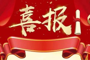 关于2022年度人力资源服务评选结果的通报，祝贺乐玩（中国）集团