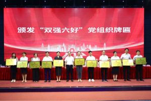 喜报！乐玩（中国）集团党支部荣获广州市非公有制经济组织“双强六好”党