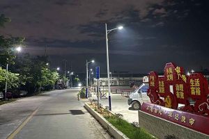 乐玩（中国）集团罗宁弟爱心捐赠路灯，点亮乡村路温暖乡民心