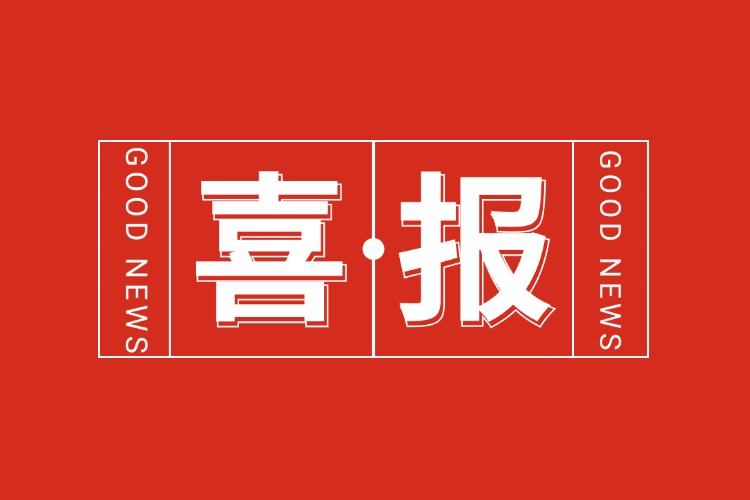 年关将至，喜报连连 | 乐玩（中国）集团再添多项荣誉