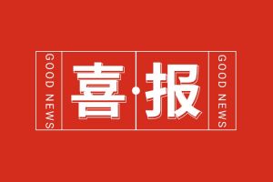 喜报！乐玩（中国）集团党支部书记、总裁陈文舒荣登“2024人力资源服