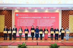 党建引领，慈善同行 | 乐玩（中国）集团荣获番禺区工商联三项荣誉！