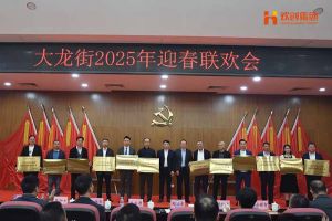乐玩（中国）集团及旗下子公司荣获“2024年度高质量发展先进企业”